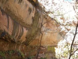 Water seeping from the walls to form the emerald pools.