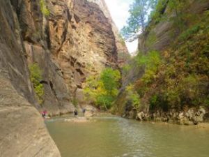 Folks heading into the Narrows.