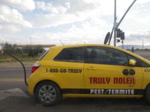 This pest control's car was decorated like a mouse, complete with tail, whiskers, and ears!