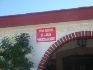 So pretty the homeowners put up a sign telling us their name, 'hermosas endas'. Not sure what endas are, but hermosa is beautiful or lovely.