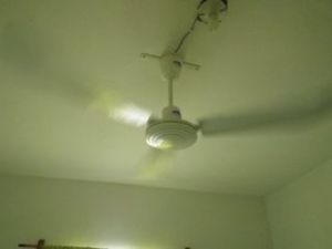 Both bedrooms and the living room have a fan like this. Really helps with the heat and humidity! Les deux chambres et le salon ont un ventilateur comme celui-ci. Ça aide vraiment avec la chaleur et l'humidité!