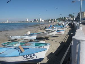 Lots of fishing boats (and a really unpleasant smell).