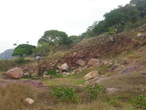 This lush rocky greenery with a stone croft made me think of hiking in Scotland!