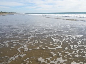 Low tide is wonderful for walking.