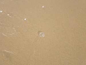 This bubble ran across the surface of the sand for quite a distance.