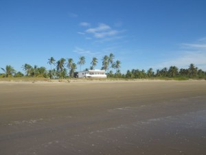 This was the last landmark before the nearly endless forest of palm trees until the golf course, many miles away.