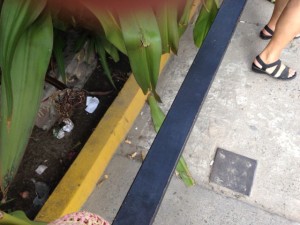 This is what passes for a bus stop bench in Mexico. I was just glad to have a bench!