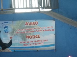 This sign made me laugh. Spanish: The sea lion jumps could wet the people in the front row. English: Siting (sic) in the fronts (sic) seat will get you wet! I like that the Spanish one explains the English one. :) 