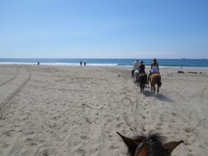 Heading onto the beach for the first part of the ride. We did lots of cantering!