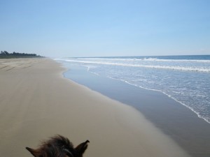 Love low tide on the beach.