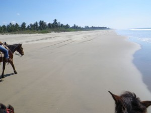 What a great surface for a canter!