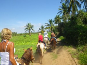 Heading into the coconut grove.