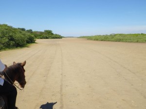 We emerged on a flood plain.