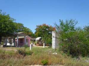 The old cemetery.