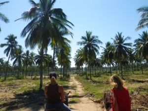 Heading back towards the main road.