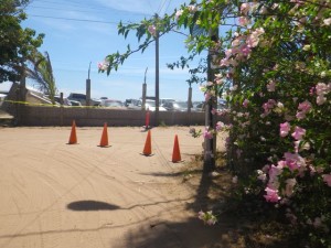 More cones at the end of my street.