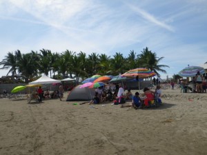 Clusters of colourful parasols near the climb to the panga.