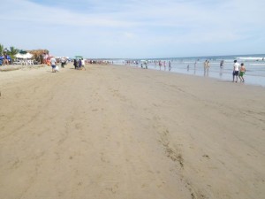 Another empty and CLEAN section of beach.