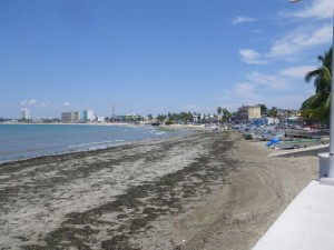 Looking north to the Golden Zone