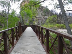 Bridge at the trailhead.