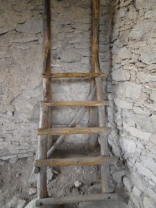 You can climb this ladder to look over a wall.