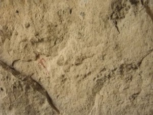 Can you see the little glyph painted in red? There were lots of those all around the cave.