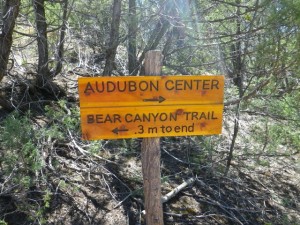 I did the bear canyon trail; it wasn't much of a distance!