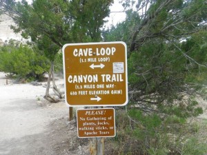 I suggest doing the canyon trail, then returning to the parking lot by the cave loop.